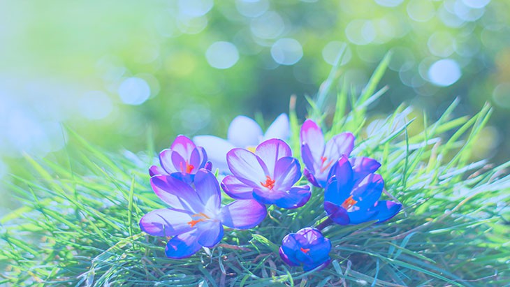 hope