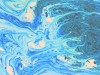 Sustainable omega-3 from the ocean