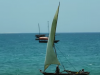 Strategic Action for Health in Small Island Developing States