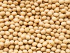Soya