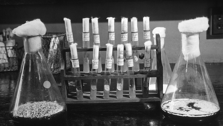 The Hippocratic Post - antimicrobial resistance