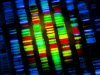 Genetic engineering and MND