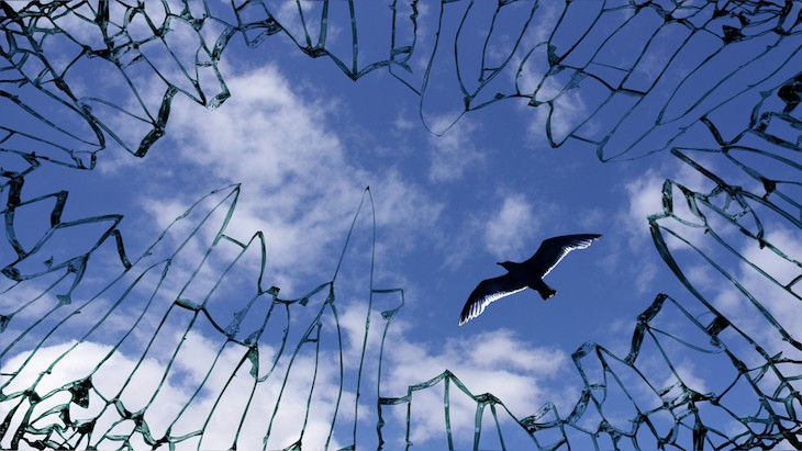The Hippocratic Post - misdiagnosis