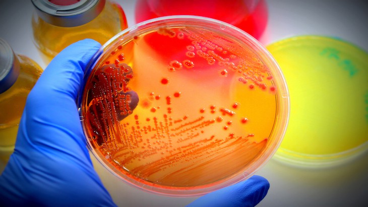 The Hippocratic Post - antibiotic