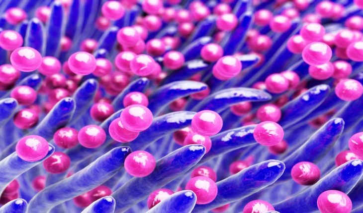The Hippocratic Post - bacteraemia