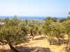 A lost generation – working with young refugees in Greece