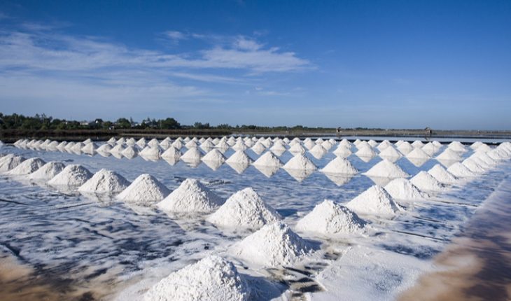 salt sinner
