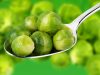 Brussels sprouts could hold the key to treating Alzheimer’s