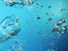Why everyone should drink silicon-rich mineral water