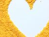 Magnesium’s role in the heart
