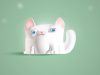 Cats at risk of skin cancer