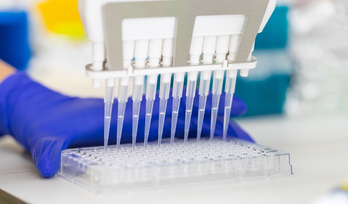 stem cell