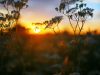 Planning end of life care
