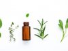 Homeopathy in general practice