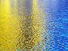 Calming immune cells