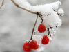 How to protect your skin this winter