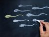 “Baby Bust”: The Impact of COVID-19 on Declining Fertility Rates