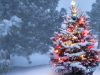Merry Christmas without asthma