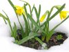 Spring has sprung!