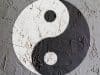 Yin Yang1 and breast cancer