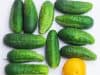 Diet and its effect on Autism
