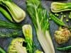 Food pattern calculator for longevity
