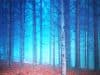 10 tips to beat the Autumn blues