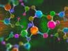 Long-lived parents produce better quality offspring