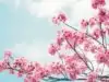 Mindfulness improves mental health of students