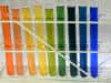 Rainbow Badges across the NHS