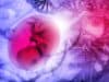High-Fat Maternal Diet Can Cause Brain Damage in the Unborn Child