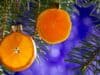 4 Healthy Habits for the Holiday Season