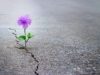 Hope Virgo Meets And Inspires Patients at Priory Eating Disorder Clinic