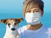 How to look after pets if you are self isolating or have Coronavirus
