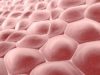 Scottish virtual biobank plays vital role in Covid-19 fight