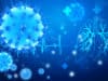 Europe’s first lung transplant on Covid-19 patient