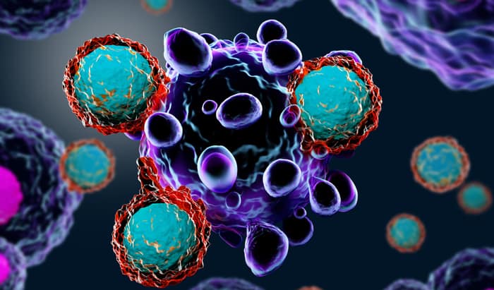 T Cells