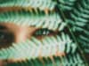 Polyvagal Theory debunked : the myth of social engagement
