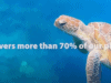 National Science Week Australia: Deep Blue