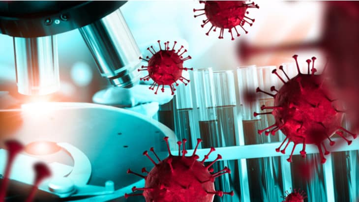 antibodies