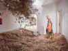 Wellcome Photography Prize Winner 2020