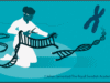 Genetic scissors: a tool for rewriting the code of life