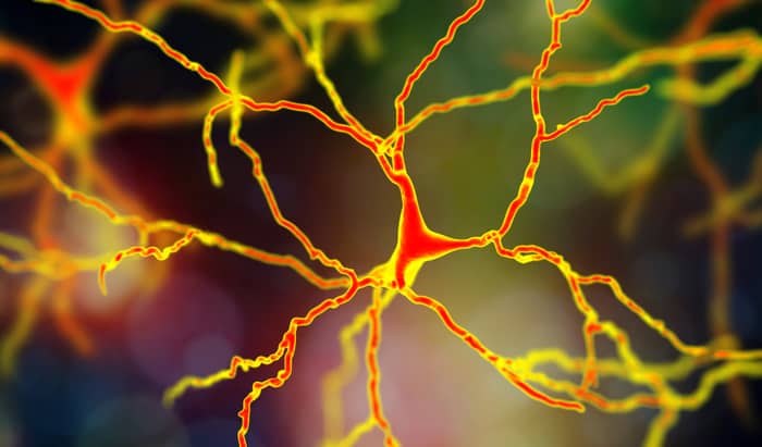 Neurological consequences