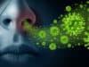 Bacteria-fighting cells may boost infection risk from respiratory viruses