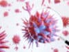Human challenge studies for COVID-19