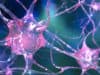 Taking the STING out of Motor Neuron Disease