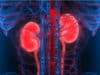 Bioprinting mini-kidneys