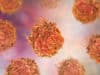 Prostate cancer: µ-crystallin CRYM protein inhibits tumour growth