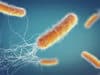 Antimicrobial resistant diseases outside of EU