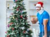 The twelve mishaps of Christmas!